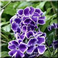niceblue693.jpg