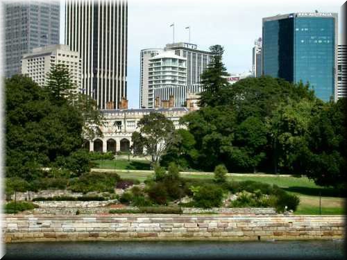 garden337.jpg