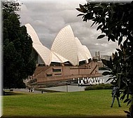 opera320.jpg