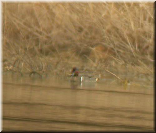 GWT3043.jpg