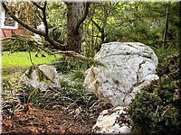 DSCN5937.jpg