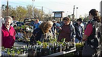 CLICK to enlarge image

Image ID: CRW_1578