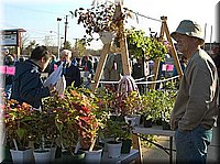CLICK to enlarge image

Image ID: CRW_1579
