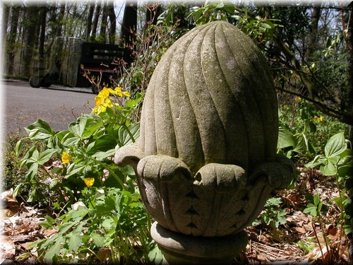 Dscn4552.jpg
