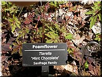CLICK to enlarge image

Image ID: DSCN4510