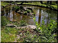 CLICK to enlarge image

Image ID: Dscn4534