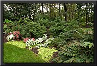 CLICK to enlarge image # 12