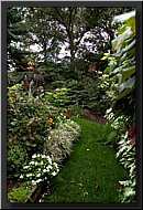 CLICK to enlarge image # 13