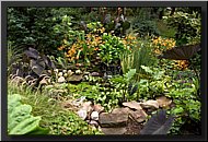 CLICK to enlarge image # 14