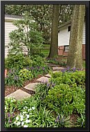 CLICK to enlarge image # 5