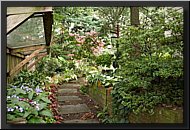 CLICK to enlarge image # 17