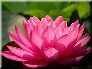 Dscn0185.jpg