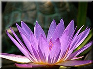 Dscn0190.jpg