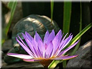 Dscn0192.jpg