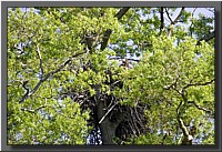 CLICK to enlarge image # 13