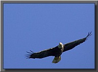 CLICK to enlarge image # 15