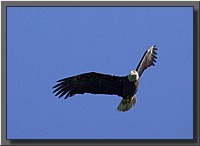 CLICK to enlarge image # 16