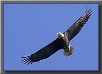 CLICK to enlarge image # 17