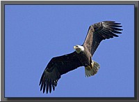 CLICK to enlarge image # 18