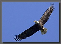 CLICK to enlarge image # 20