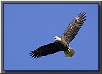 CLICK to enlarge image # 21