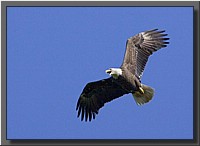 CLICK to enlarge image # 22