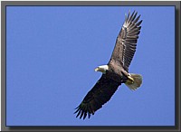 CLICK to enlarge image # 23