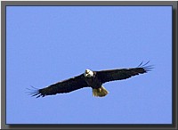CLICK to enlarge image # 24