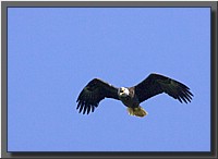 CLICK to enlarge image # 25