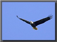 CLICK to enlarge image # 26