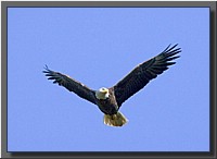 CLICK to enlarge image # 27