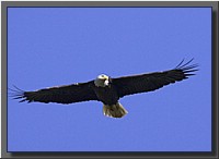 CLICK to enlarge image # 29