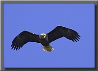 CLICK to enlarge image # 32