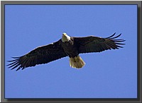 CLICK to enlarge image # 34
