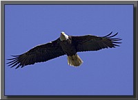 CLICK to enlarge image # 36