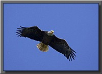 CLICK to enlarge image # 104