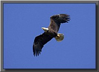CLICK to enlarge image # 105