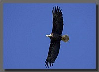 CLICK to enlarge image # 107