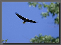 CLICK to enlarge image # 109