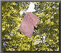 CLICK to enlarge image # 111