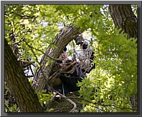 CLICK to enlarge image # 133