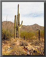CLICK to enlarge image # 14