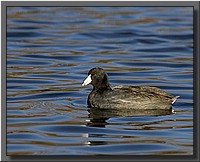CLICK to enlarge image # 3