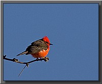 CLICK to enlarge image # 4