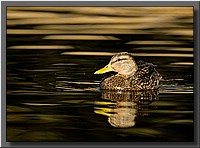 CLICK to enlarge image # 5
