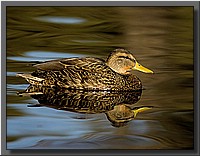 CLICK to enlarge image # 6