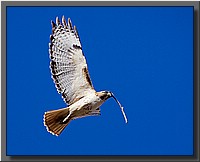 CLICK to enlarge image # 10