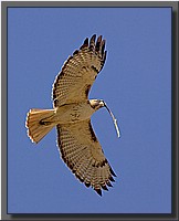 CLICK to enlarge image # 11