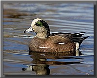 CLICK to enlarge image # 12