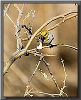 CLICK to enlarge image # 15